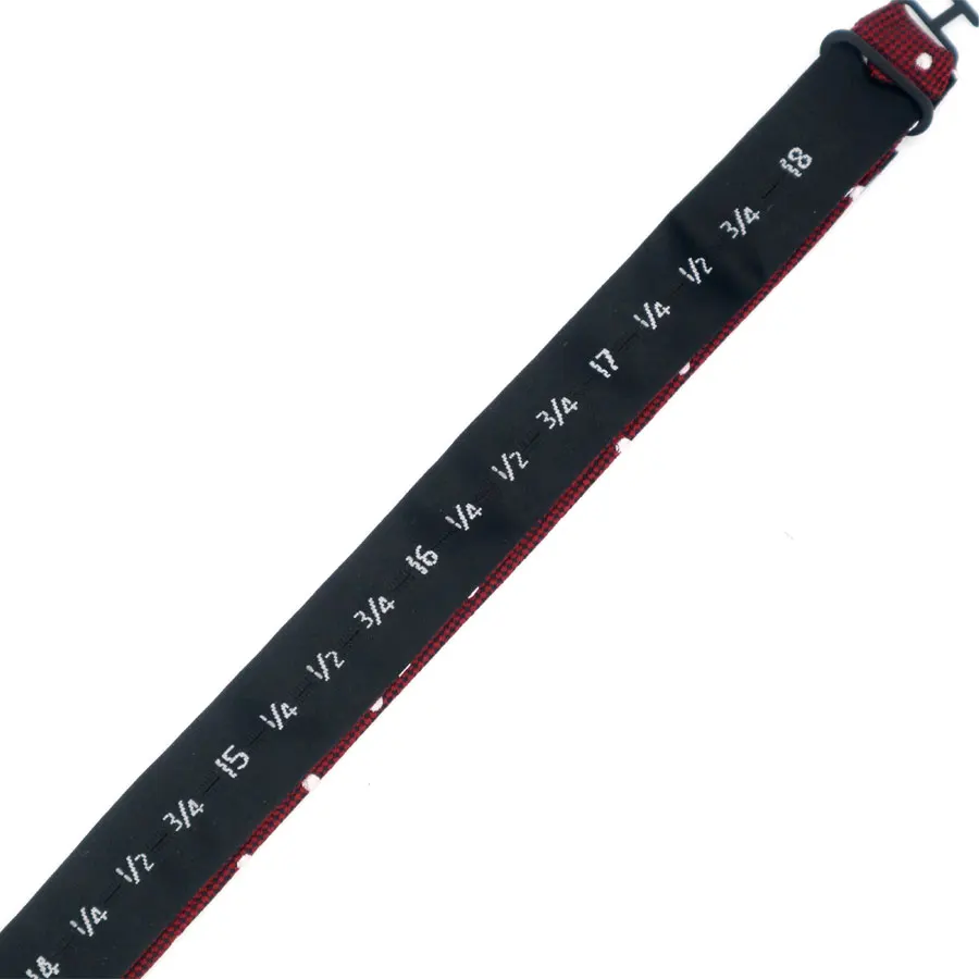 GHL-31D2