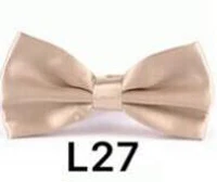L27 Галстук деловой джентльмен мужской галстук-бабочка сплошной цветной галстук-бабочка 24 цвета - Цвет: L27