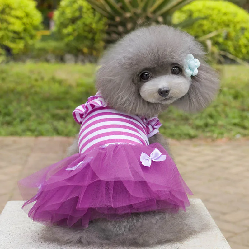 Летнее платье для собак Одежда для маленьких собак свадебное платье юбка одежда для щенков весенняя одежда принцессы Одежда для домашних животных Чихуахуа Йорк - Цвет: Purple
