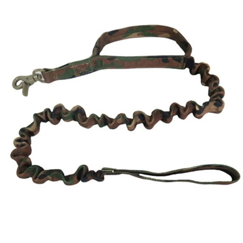 Dog Leash 09