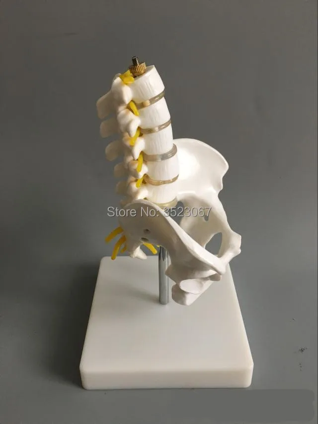 TB2d6J2sXXXXXXaXXXXXXXXXXXX_!!687093950