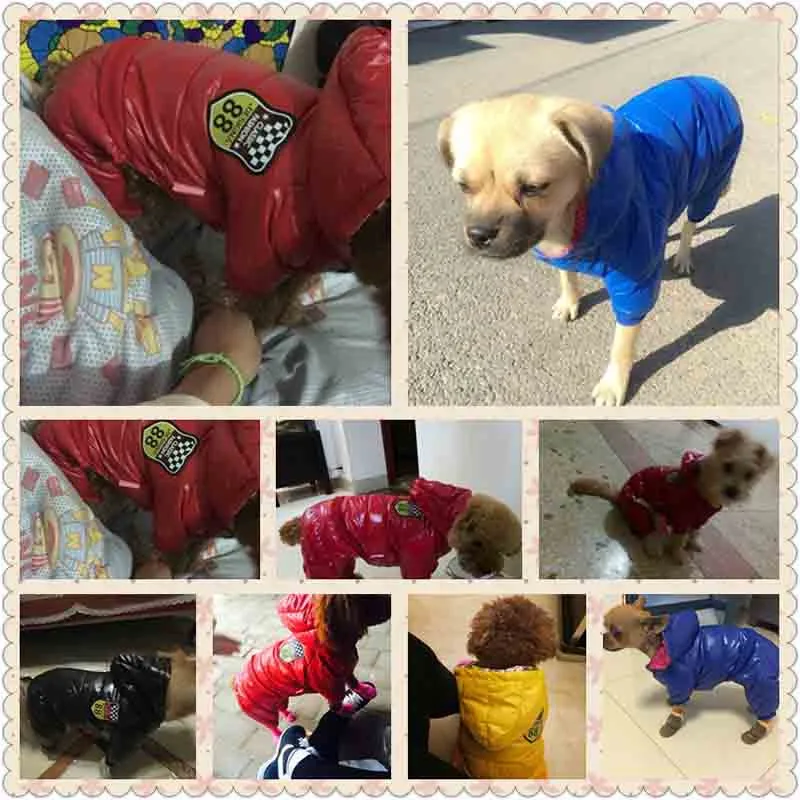 Waterproof Puppy Pet Ski Suit Winter Dog Clothes Red Blue Sport Chihuahua Clothing for Dogs Yorkshire Terrier Jumpsuit Parkas5 (2)