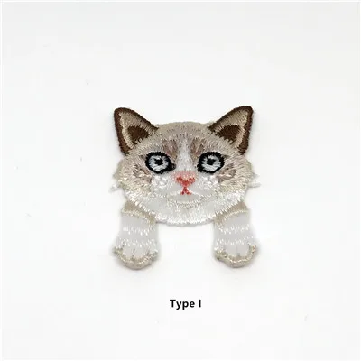 Type I