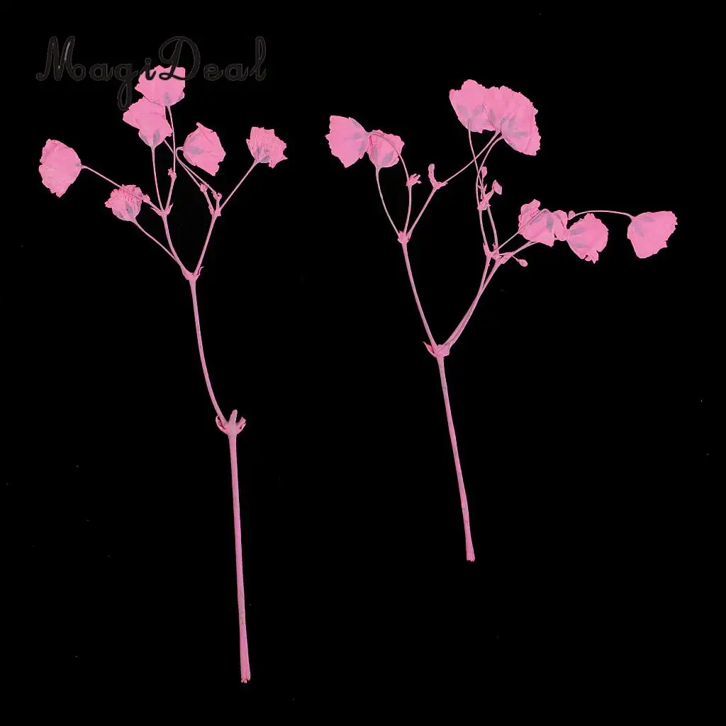 10 / 20Pcs Beautiful Real Pressed Rose Petal Babysbreath Flowers Dried Flowers for Art Craft Scrapbooking DIY Resin Jewelry