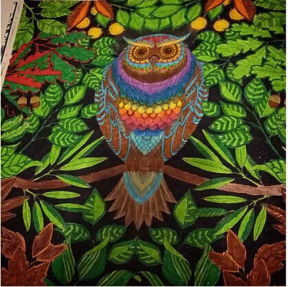 Secret Garden By Johanna Basford An Inky Treasure Hunt And Coloring Book Pbk Picture Relax 12 Colors Pencil In Books From Office School Supplies