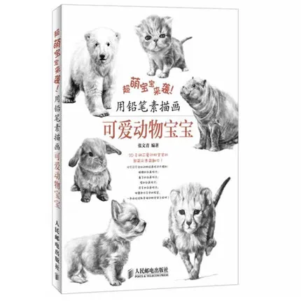 Cin Kalem Kroki Hayvan Kedi Kopek Boyama Kitabi Kroki Tabanli