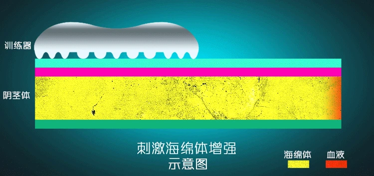 20181110_155236_023