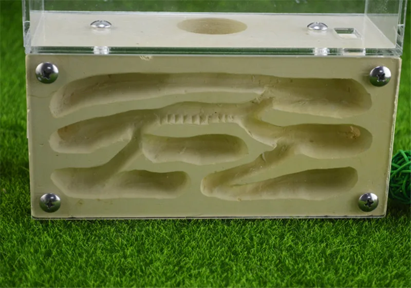 Earth Formicarium designed with ants in mind this sturdy gypsum and acrylic nest measures   (3)