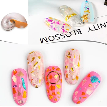 

twelve Colors Nails Abalone Shell Fragments Natural Shell Stone Nail Art Manicure Accessories
