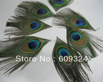 

FREE SHIPPING -Wholesale 500 pcs/lot Peacock Eye Feather Trimmed for jewelry craft scrapbook or hairpiece