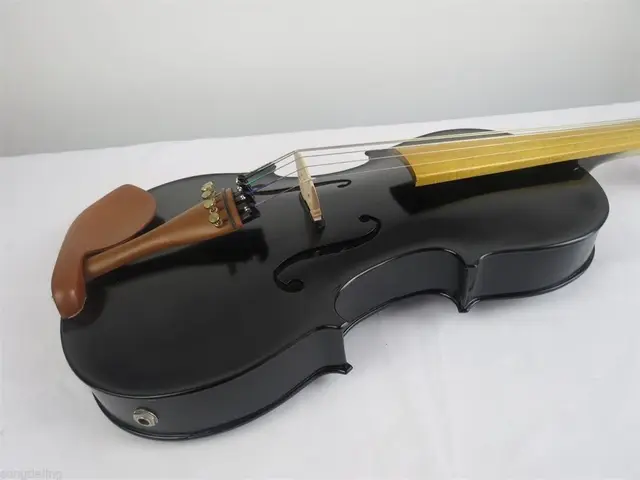 世界の ブラック色5弦電気音響ビオラ15  弦楽器