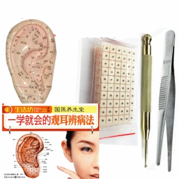 

Ear acupuncture massage paste with ear model ear acupuncture probe Vaccaria seeds/magnetic bead Auricular Pressing