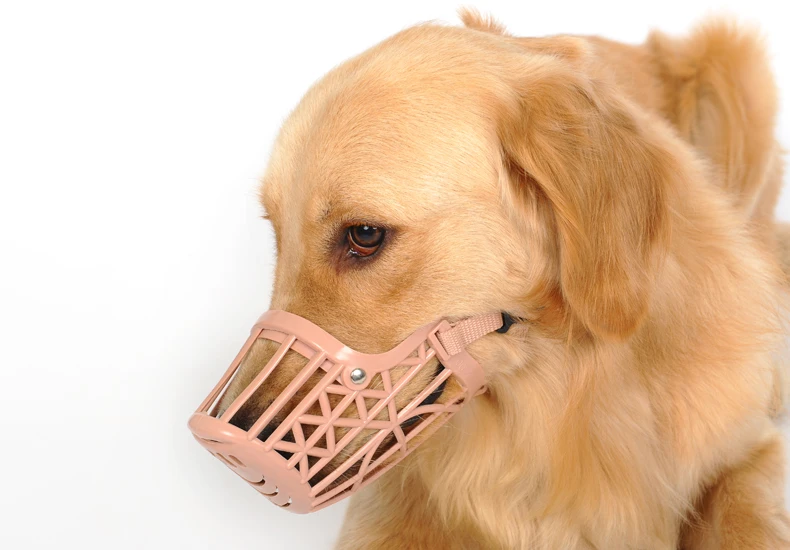 Adjustable Large Dog Bark Deterrent Training Device Anti Barking Collar Anti Bite Control S-3XL (8)