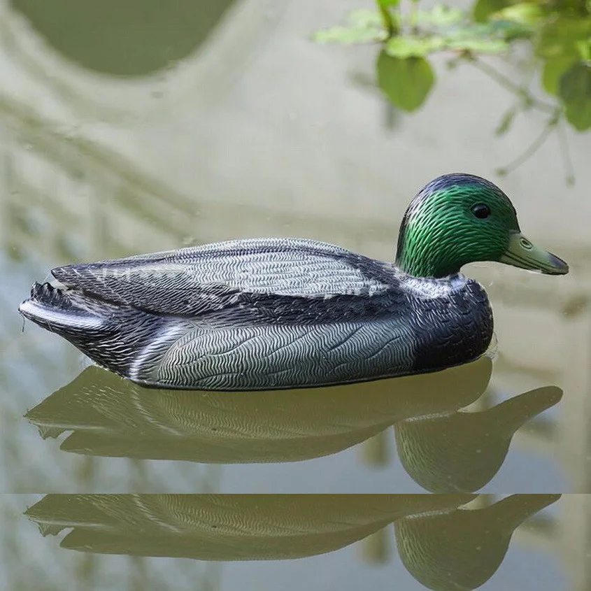 

Hunt Decoy Duck Garden Ornaments Decoys Fish Decoy Drake PE material, bait, duck hunting, simulation for shooting & hunting