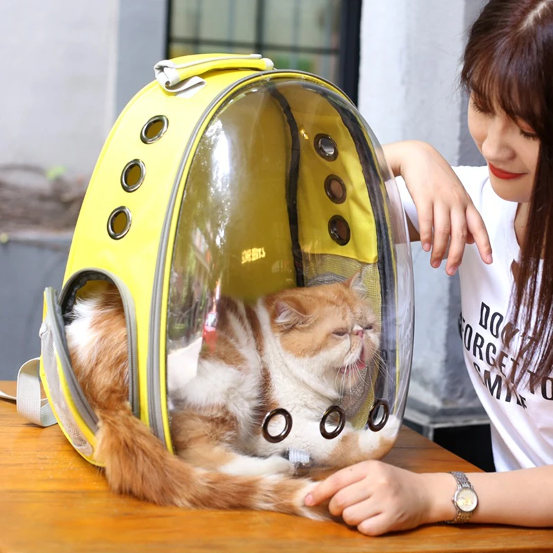 Кошка-рюкзак для переноски собака кот рюкзак для котенок Щенок Чихуахуа маленькая собака, несущая ящик открытый сумка для переноски кошек пещера