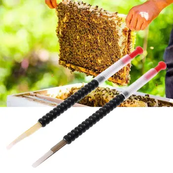 

2pcs Beekeeping Tool Move Needle Bee Larva Queen Bee Moving Equipment Bee Eggs Needle Grafting Tool Equipment