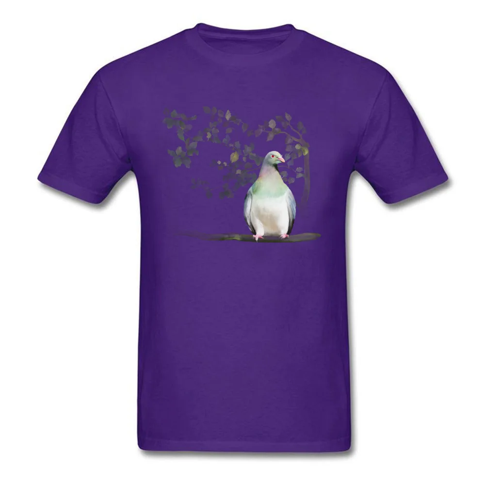 Wood Pigeon_purple