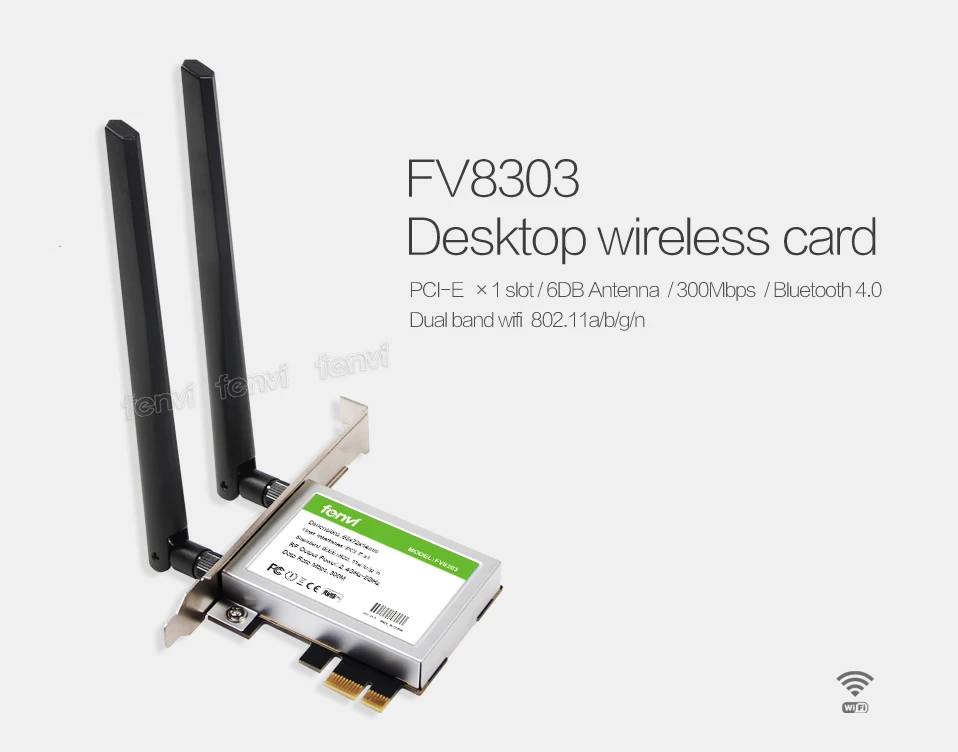 FV8303-1_01