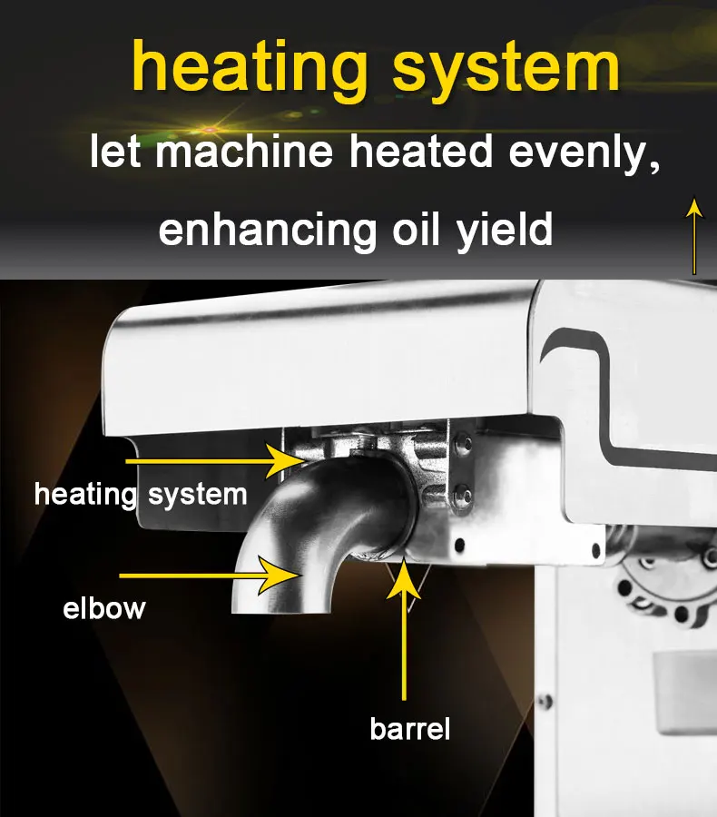 220V Heat and Cold home oil press machine pinenut, olive oil press machine high oil extraction rate