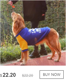dianxiaobao