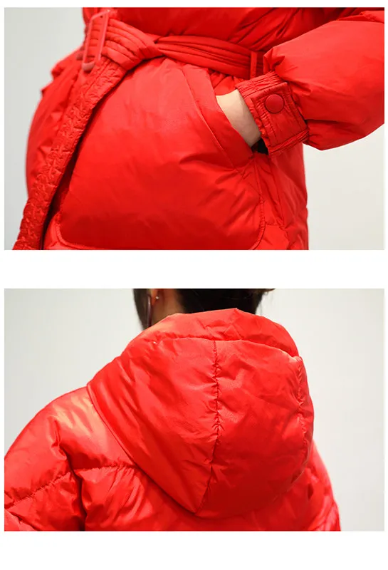 Women's Winter Jackets Fashion Collar Women's Down Jacket 2019 Winter New Short Paragraph Down Jacket Sweet Coat Female  S M L (8)