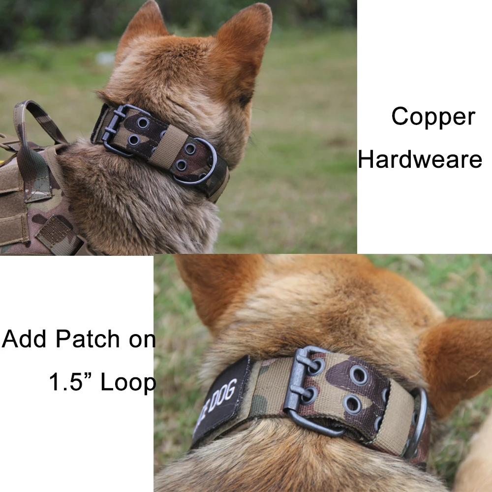 Tactical dog collor (13)