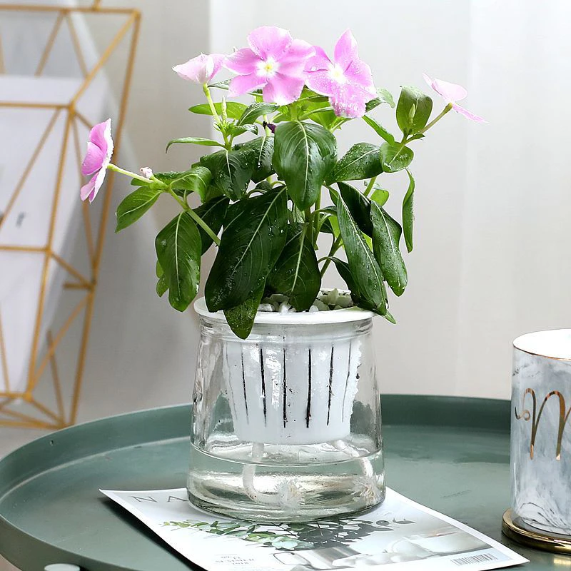 

Simple Fresh Style Breathable Double Deck Transparent Glass Flower Pot Cotton Rope Automatic Water-Absorbing Landscape Flowerpot
