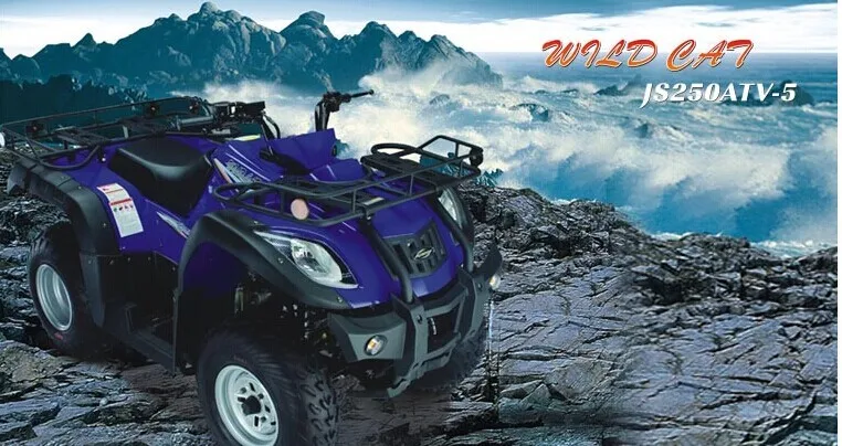 Jianshe loncin двигателя васане аксессуары 250cc квадроциклах atv250 выходной вал заднего хода