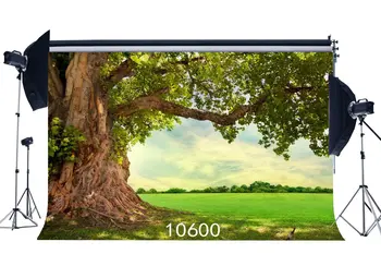 

Photography Backdrops Fairy Tale Rural Nature Old Tree Green Grass Field Scene Toddlers Portraits Background