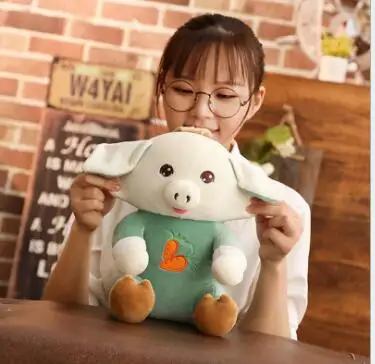 

WYZHY New Year Gifts Gift Year of the Pig Mascot Down Cotton Pig Doll Pillow Plush Toy Pink Green 30cm