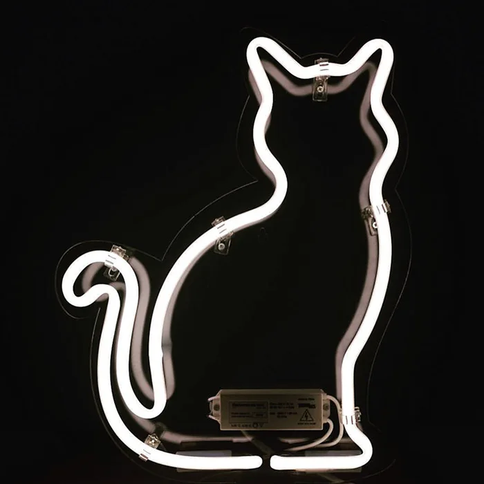 猫咪
