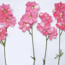 250 шт прессованный высушенный цветок Gaura Lindheimeri с веткой для эпоксидного кулон из смолы ожерелье ювелирные изделия изготовление ремесло DIY аксессуары