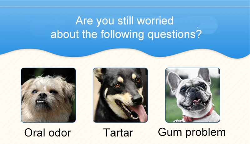 tooth brush for dog (10)