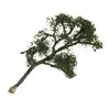 Model Sycamore Tree Railway Street Park Garden Diorama Scene 1:150 N Layout -9cm 2