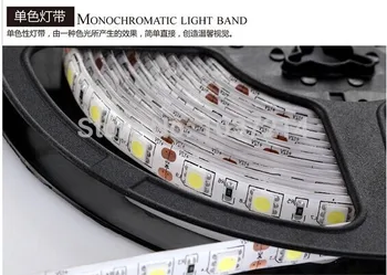 

LED Strip 5050 No-Water proof, white, blue, green, RGB free ship