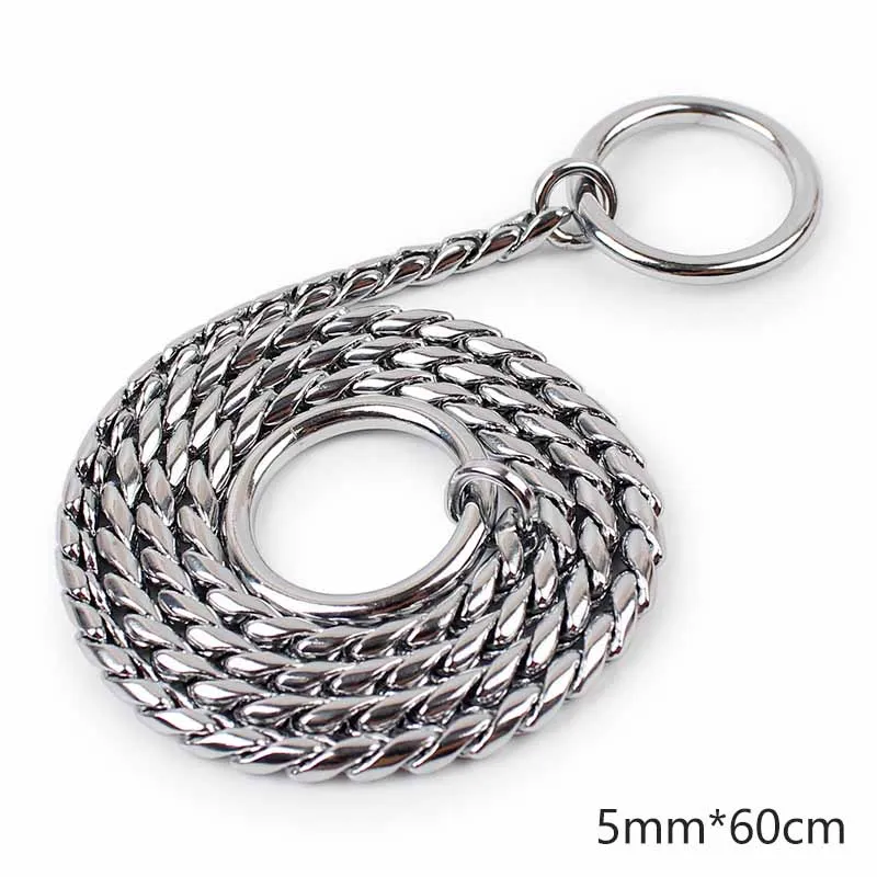 SYDZSW Delicately Packed Stainless Steel Pet Leash Puppy Dog Leads High Quality Pet Dog Snake Chain P Leash Chihuahua Products10