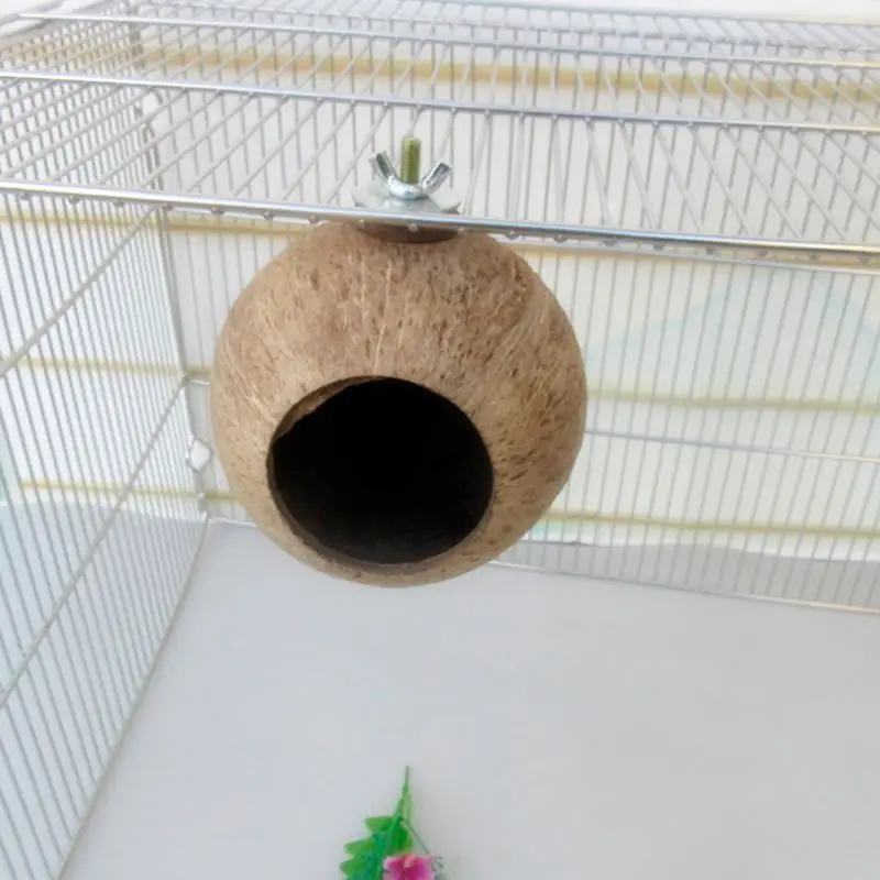 Дерево лестница шлифованный скорлупы кокосового ореха Pet Игрушки для птиц Ара гнездо для попугая хомяк подняться колокол качели Укус игрушка продукция для домашних животных