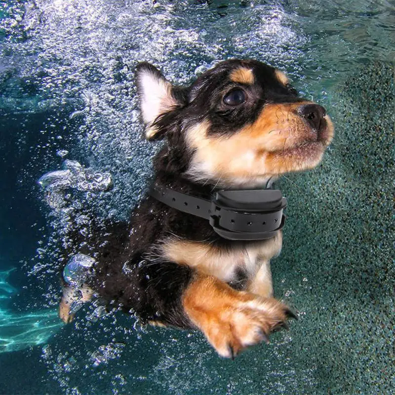 

500M Remote Rechargeable Dog Adjustable Training Collar IP67 Waterproof Remote Control Dog Electric Shock collars(US EU AU plug)