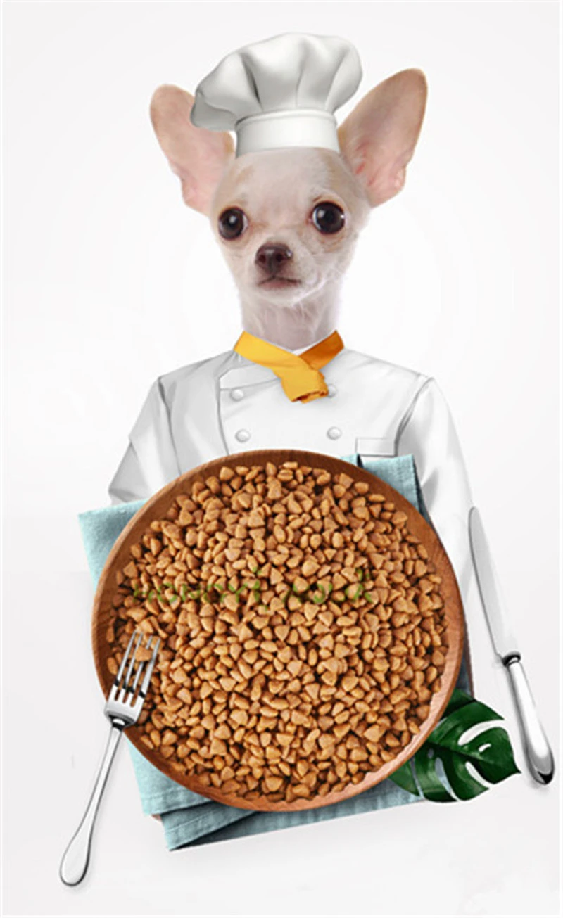 What Is The Best Food For Chihuahua Puppy