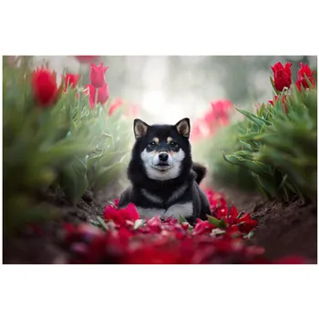 

Cartoon 5D Diy Diamond Painting Cross Stitch Anime Shiba Inu Pet dog Needlework Diamond Embroidery Full Decorative Christmas