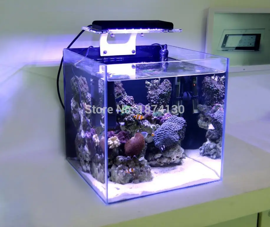 Zetlight Aquarium Lighting Led Zetlight Led Aquarium Lights Coral