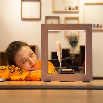 

Funssor Slow Dance Frame LED Optical Illusion Sculpture Slow Motion Picture Frame Slow Time Frame Mathers Day Gifts