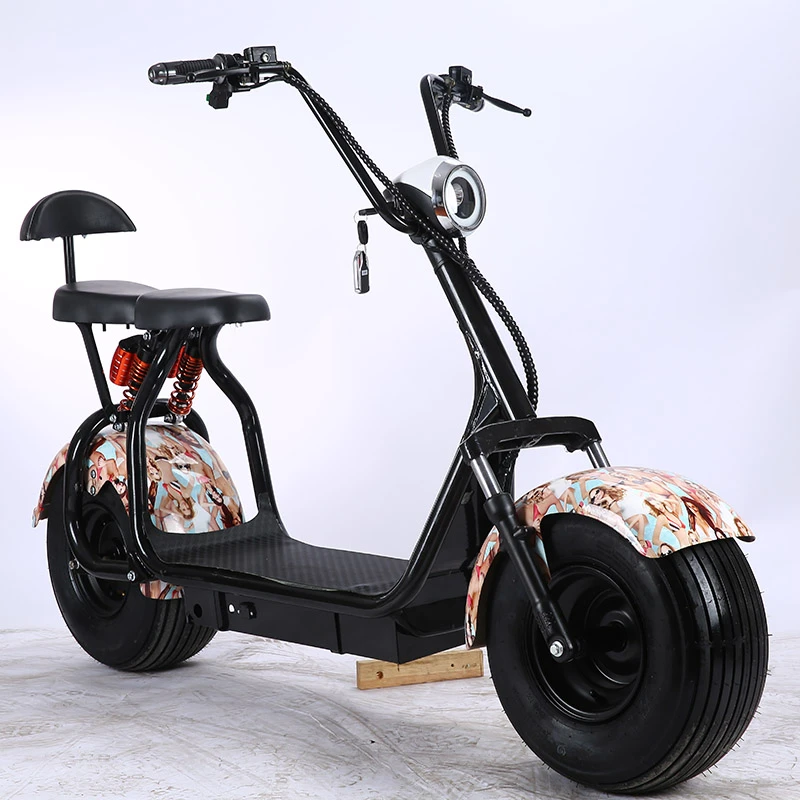 Motocicleta eléctrica scooter Citycoco eléctrica 1000W batería de doble motocicletas eléctricas|Scooter - AliExpress