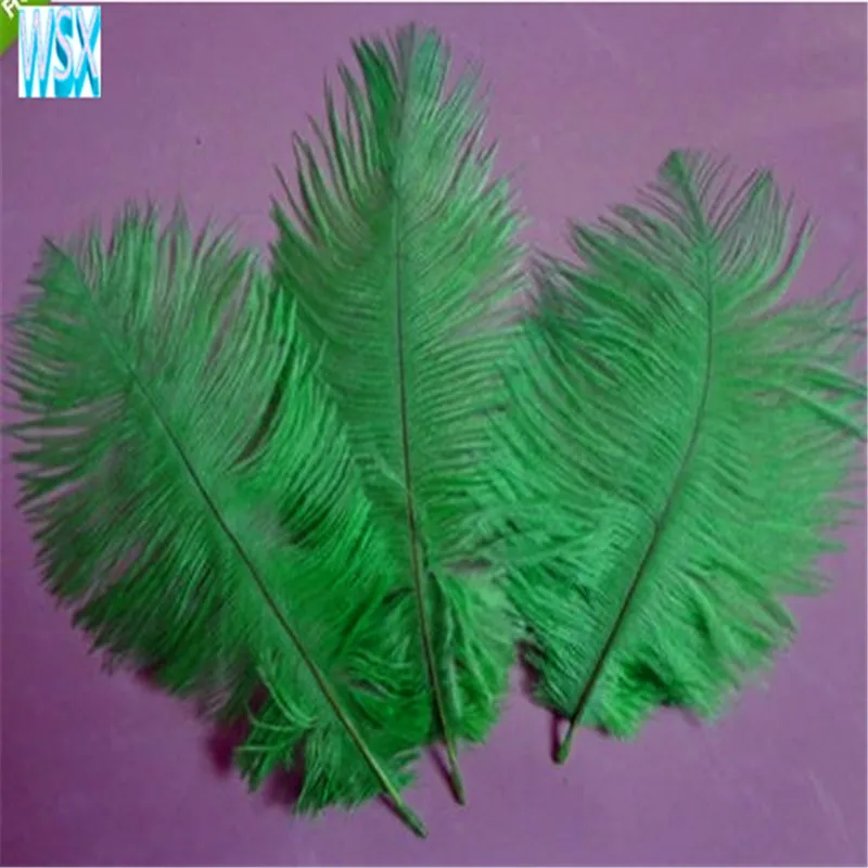 Natural Green Ostrich Feather 25 30 cm / 10 to12 inches 100 pcs Ostrich