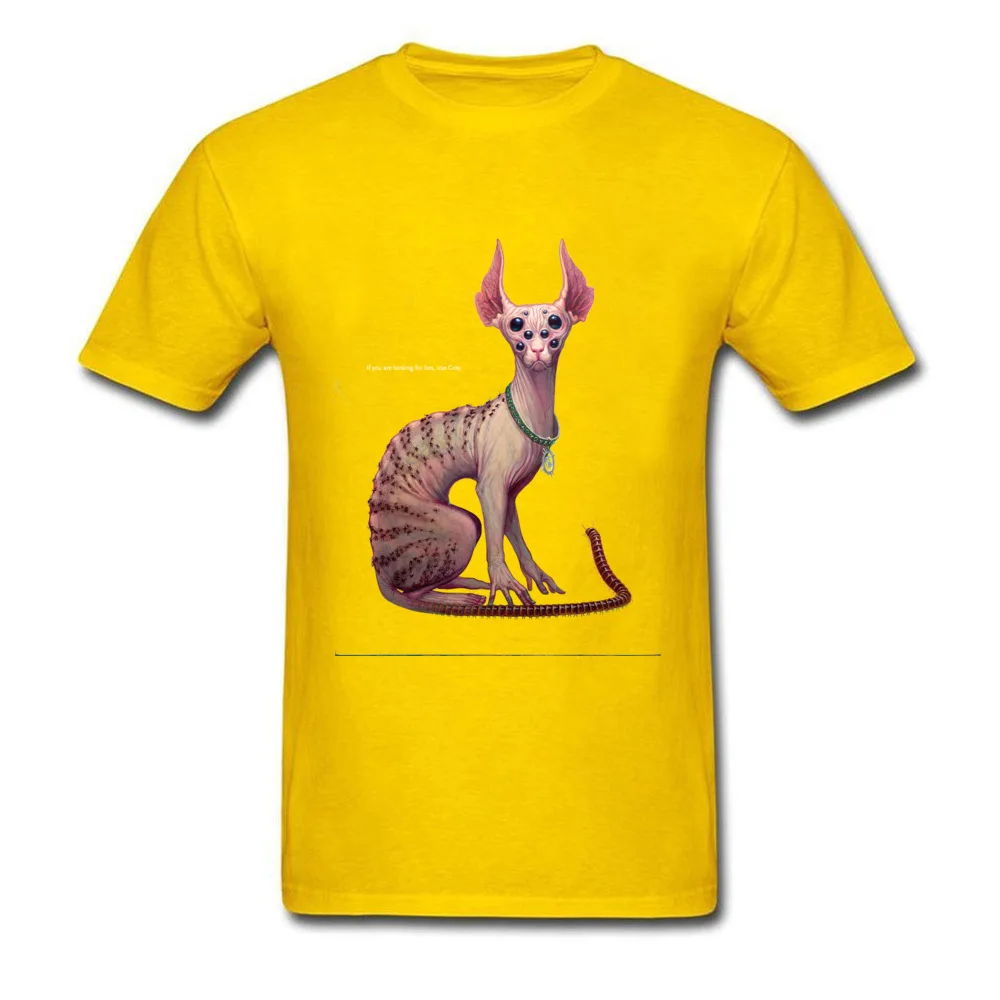 Wrong_Cat_yellow