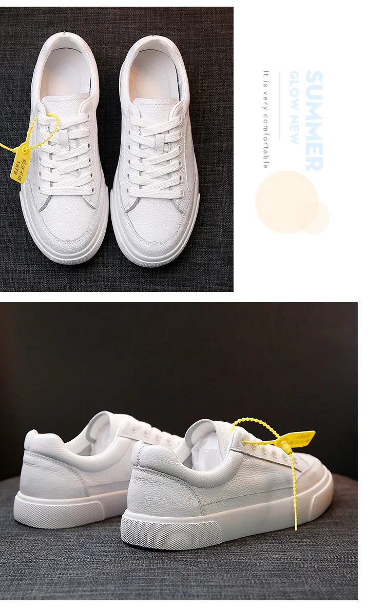  white_25.jpg