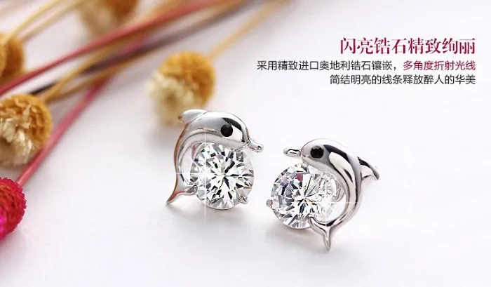 1915910301_940537316