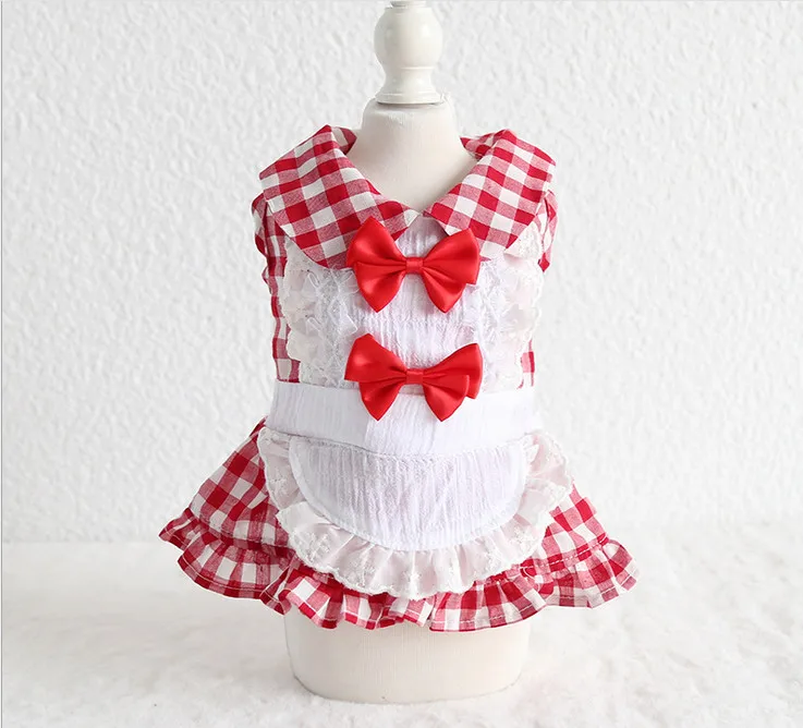19SS01 (1)