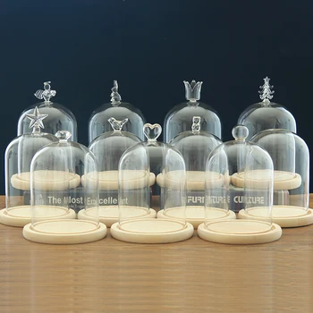 

Diameter=9cm Different Top Glass Dome Vase with Log Base Home Wedding Decoration Bird Crown Heart Glass Dome Friend Gift