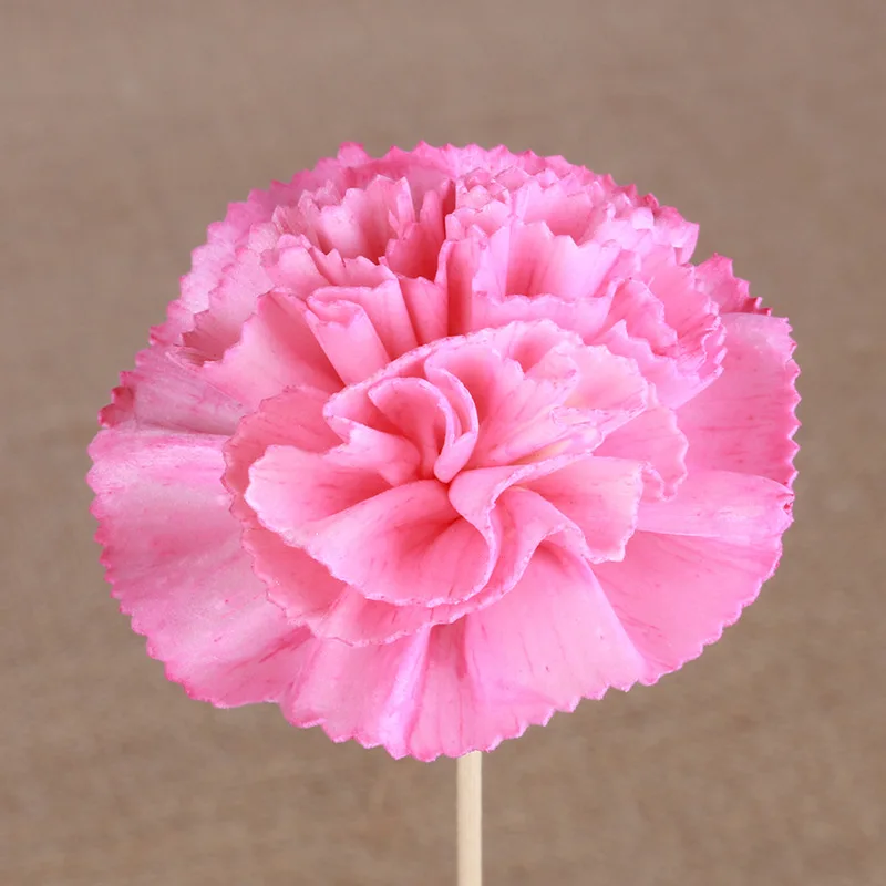 

Lychee Red Artificial Cherry Blossoms Reed Diffuser Replacement Stick DIY Handmade Home Decoration Simple Style Rattan